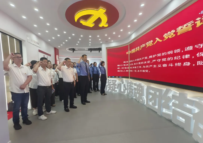 清風潤初心 檢企聚合力--漢陽區檢察院、新區公司聯合支部主題黨